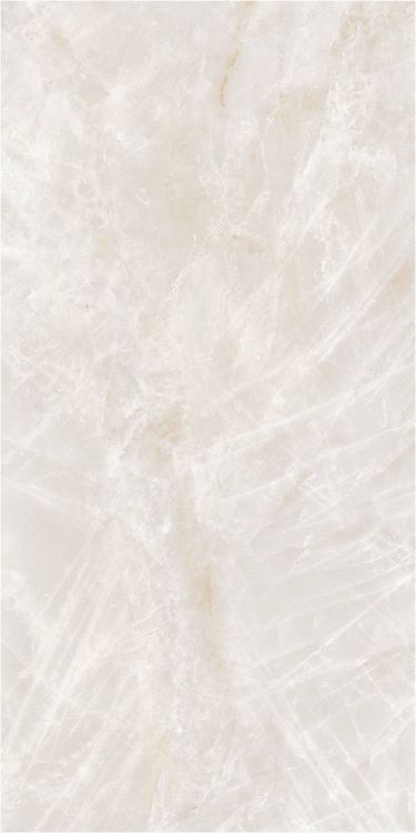 OL Taj Mahal Cream Matte 12 x 24